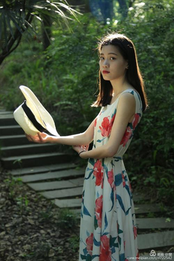 91免费版客服支持